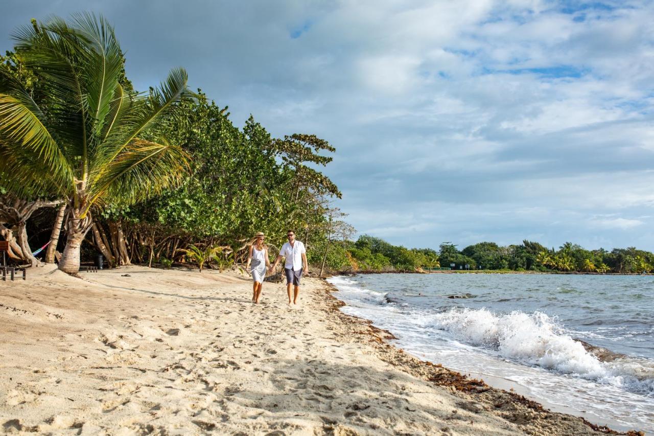 Mariposa Belize Beach Resort Placencia エクステリア 写真